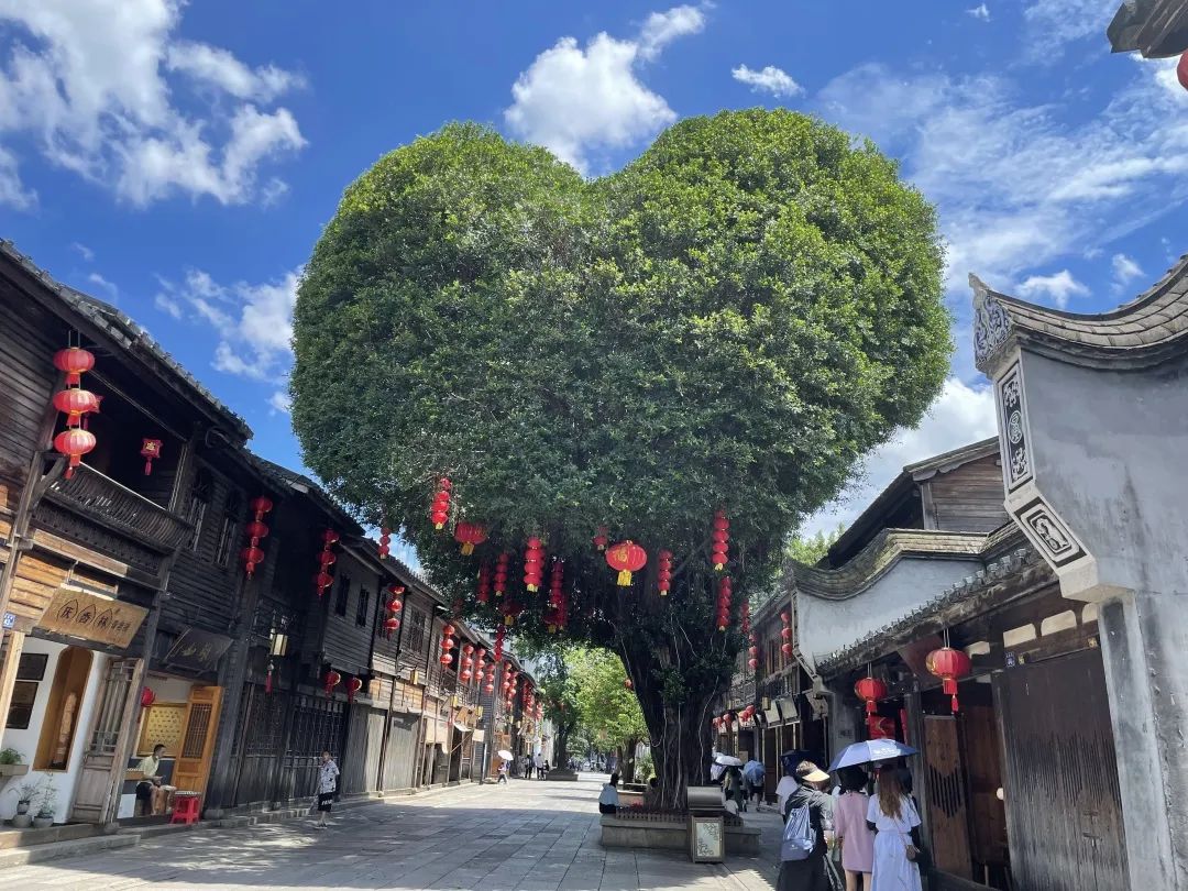 在福州的三坊七巷歷史文化街里，親眼見到了這棵愛心樹